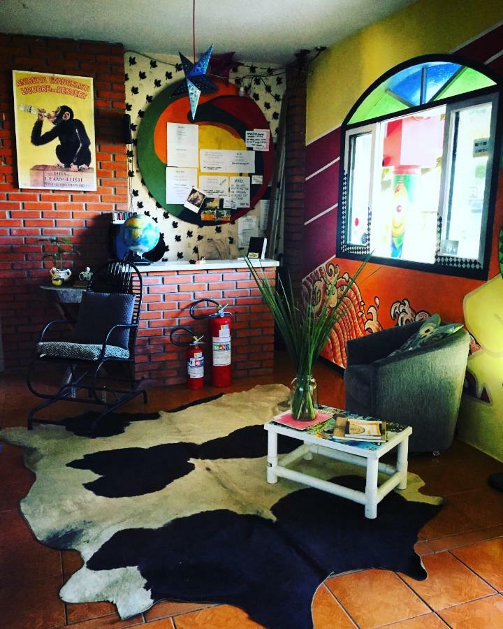 Retro House Hostel Florianópolis Zewnętrze zdjęcie